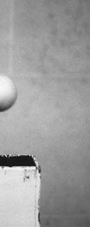 Entretien avec S. Doppelt