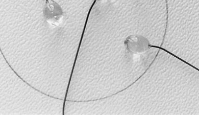 Le grand atelier de Royaumont