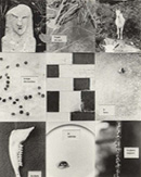 Petit abrégé succinct du travail de S. Doppelt